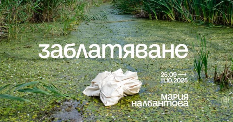 Изложба „Заблатяване“ в галерия „Little Bird Place”