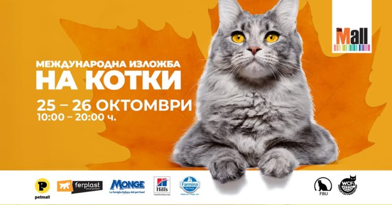 Международна изложба на котки в The Mall