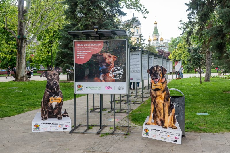 Фотоизложба „Вече съм вкъщи“