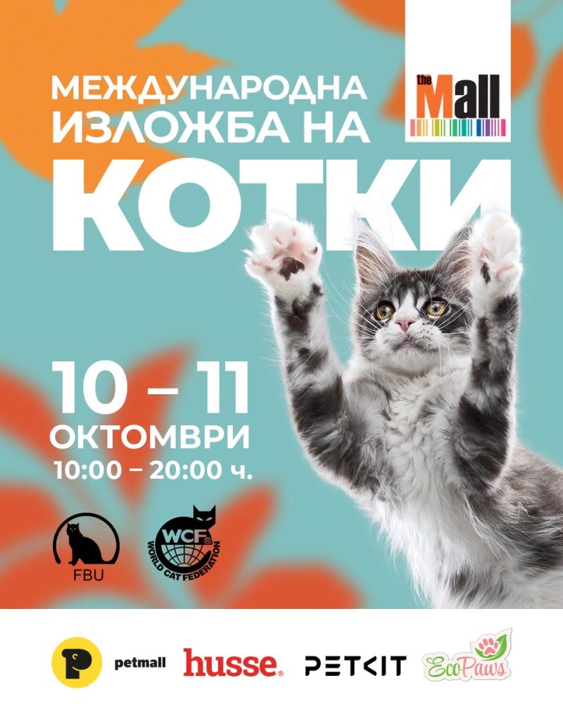 Международна изложба на котки в The Mall 2026